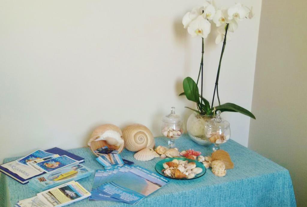 Acquamarina B&B Porto Cesareo Εξωτερικό φωτογραφία